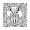 page 2 - Farm Animals Cydney Sheppard