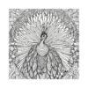 page 3 Peacocks Mandala style